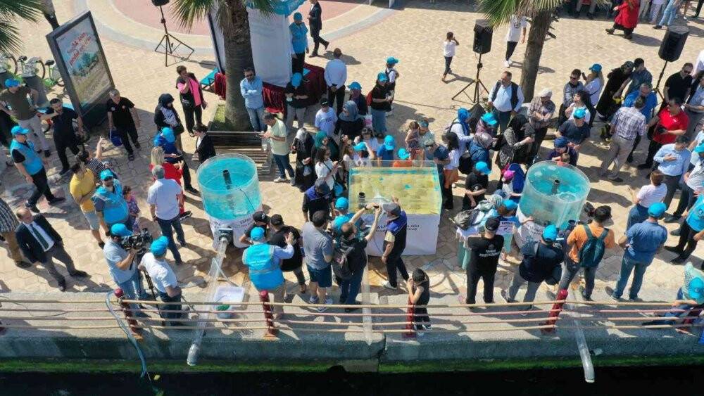 6 bin yavru balık İzmit Körfezi’ne salındı