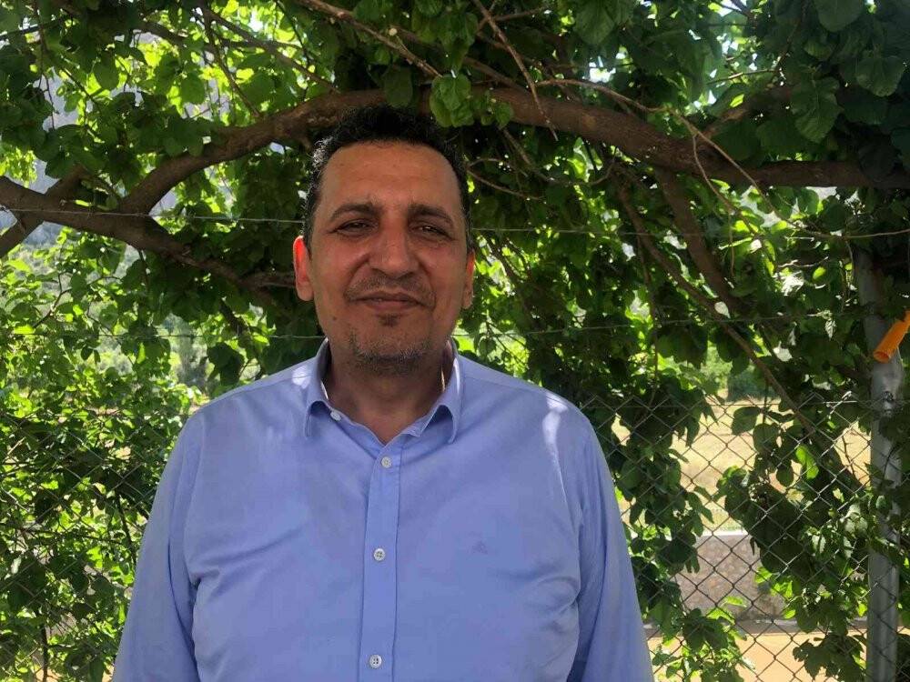 Yanan orman küllerinden yeniden doğdu
