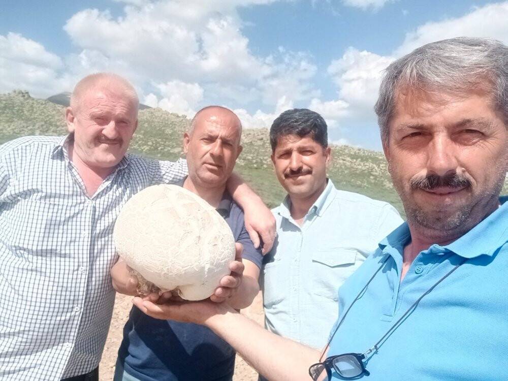3 kilo ağırlığında
