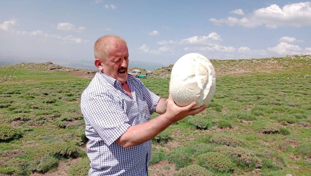 3 kilo ağırlığında
