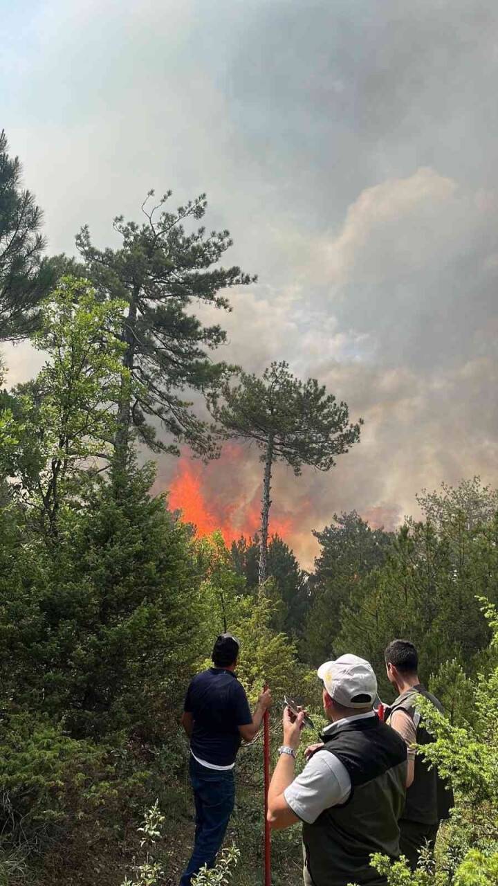 Bolu’da orman yangını