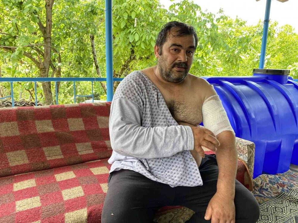 Ayı saldırısına uğrayan vatandaş: 'Beni öldü zannetti'