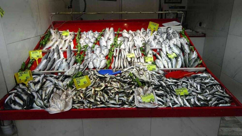 Çanakkale’de  sardalya, 50 liradan tezgahlarda