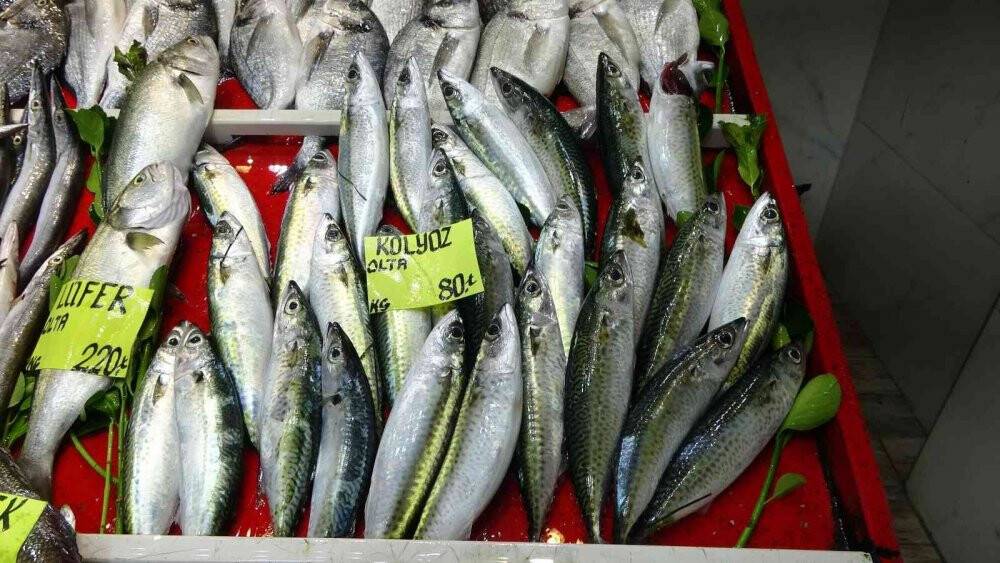 Çanakkale’de  sardalya, 50 liradan tezgahlarda