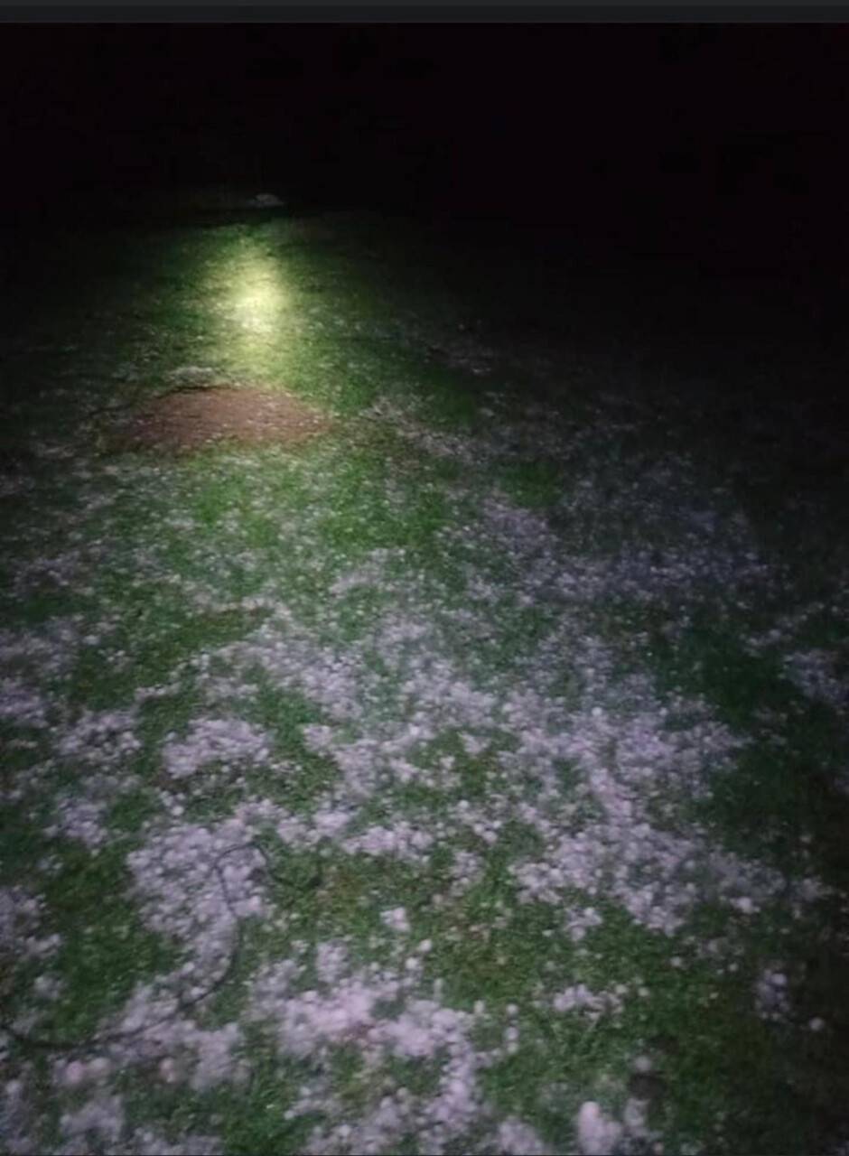 Gök gürültüsünden ürken 55 koyun telef oldu