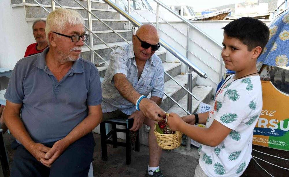 Kuşadası’nda Kiraz Şenliği Başladı