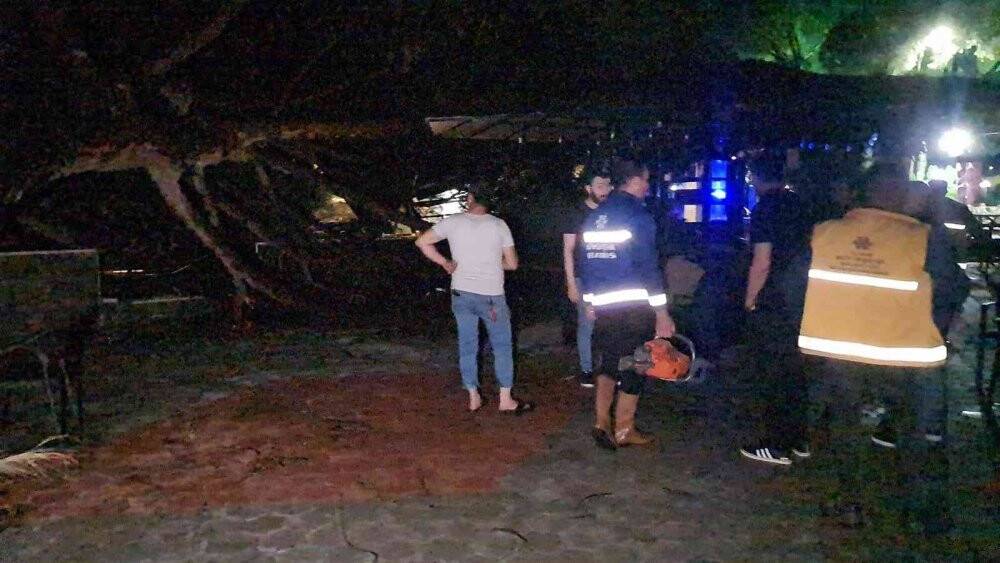 Dev çam ağacı kafenin üstüne böyle devrildi