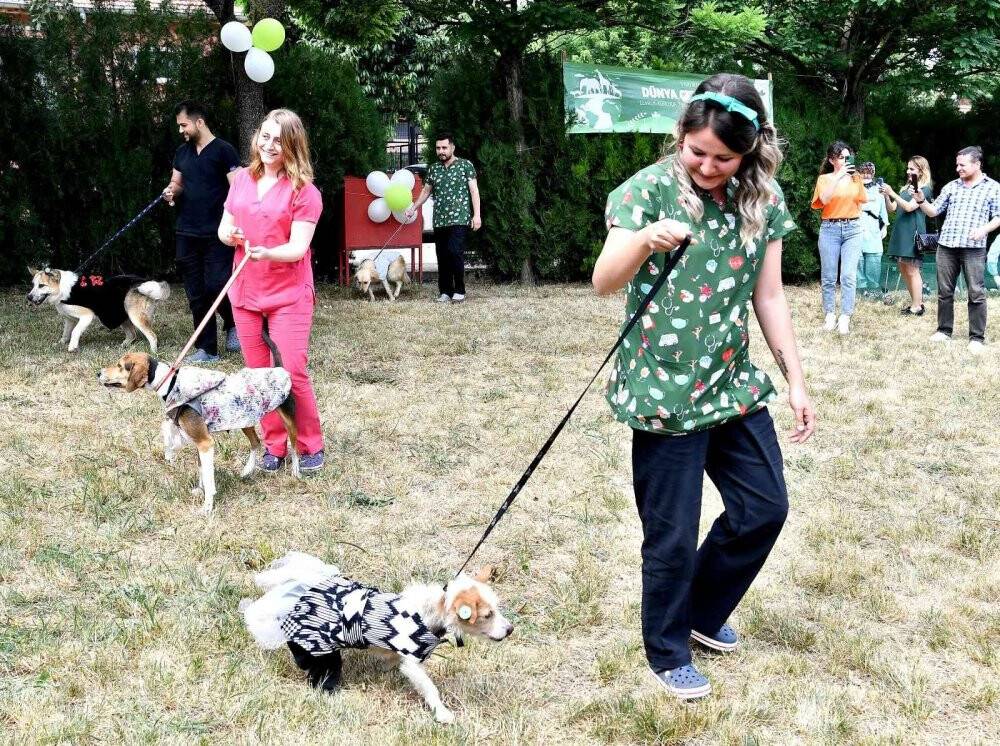 Can dostlar çevre için podyuma çıktı