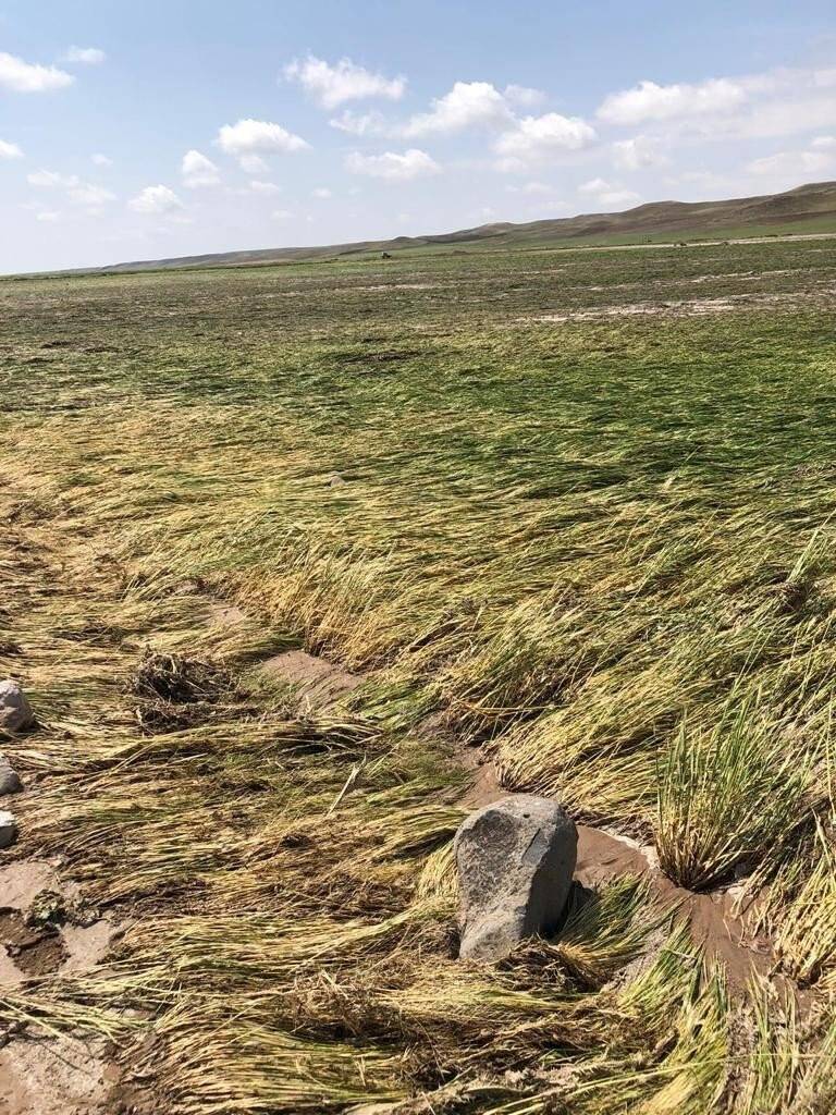 Kulu’da şiddetli yağışlar yaklaşık 3 bin dekar ekili alana zarar verdi