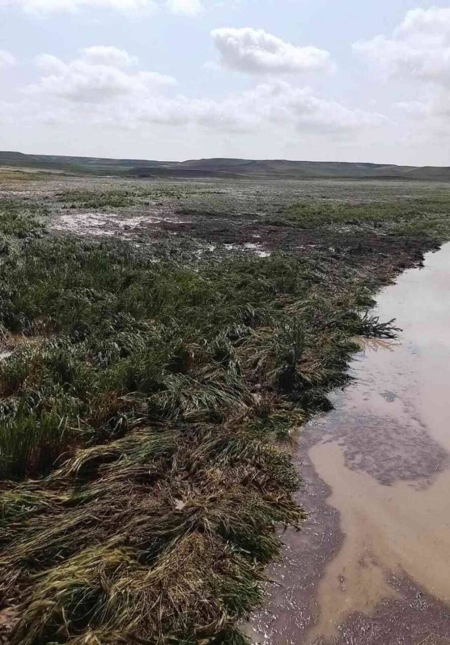 Kulu’da şiddetli yağışlar yaklaşık 3 bin dekar ekili alana zarar verdi