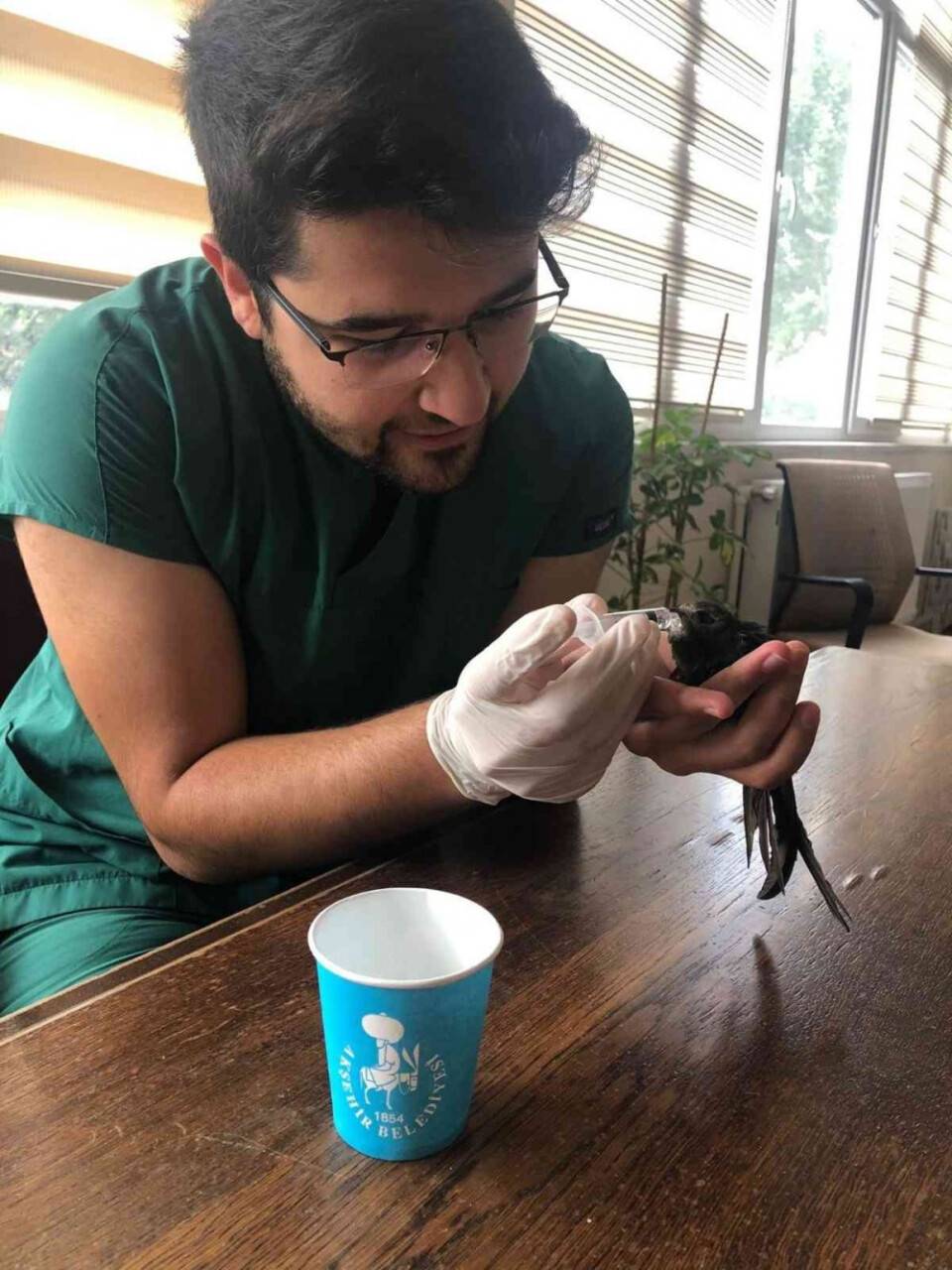 Yaralı bulunan ebabil kuşu tedavi altına alındı