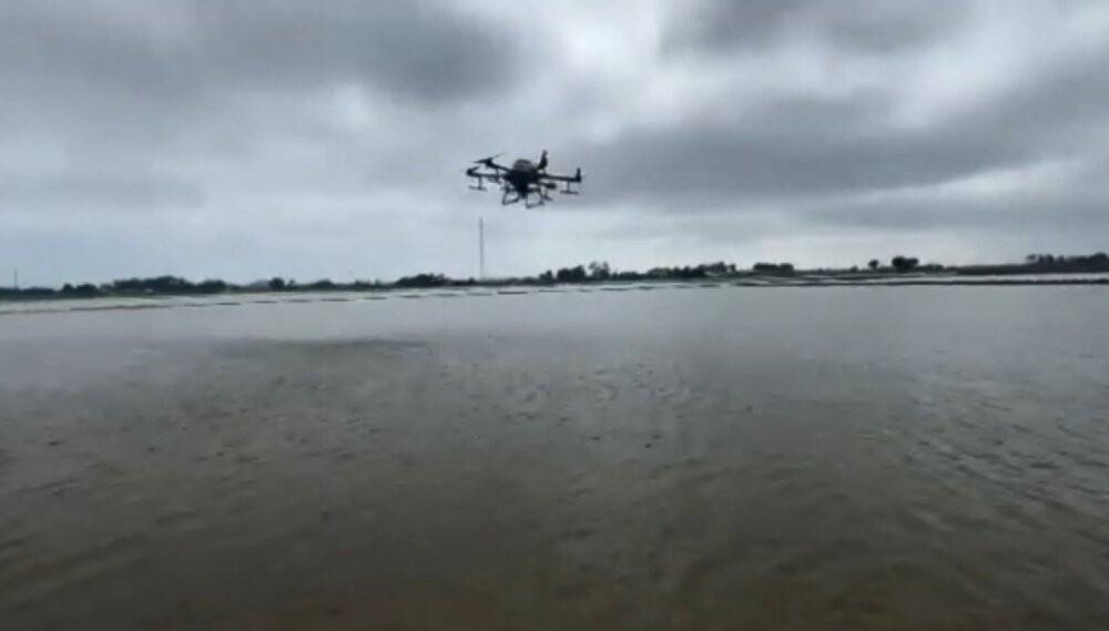 Samsun'da  ZİHA ile çeltik ekimi başladı