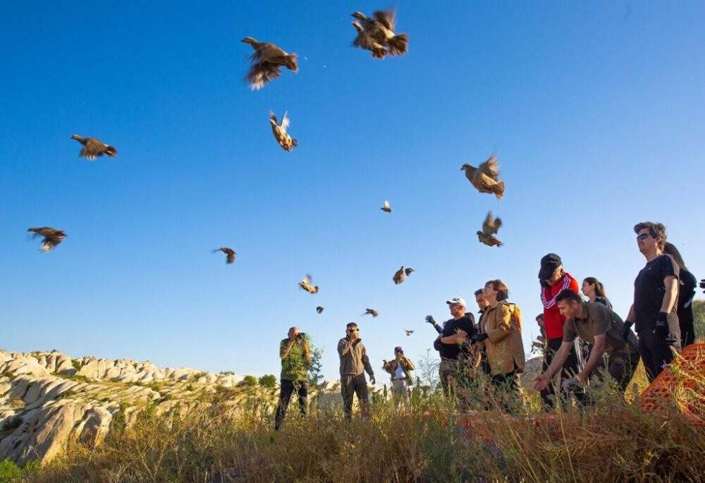 Gomeda Vadisi’nde 200 kınalı keklik salındı