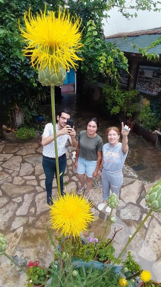 Bu çiçeği koparmanın cezası 109 bin TL