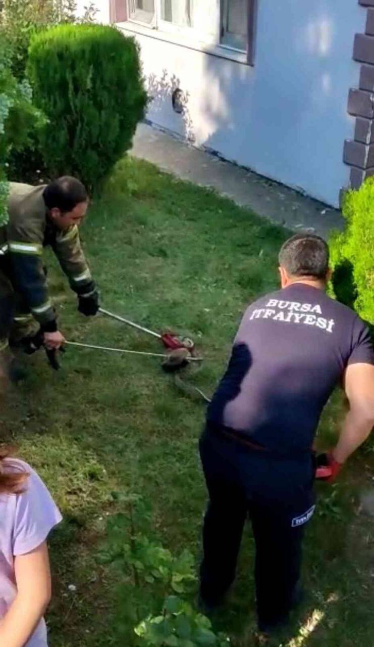Site bahçesinde 1.5 metre boyunda yılan yakalandı