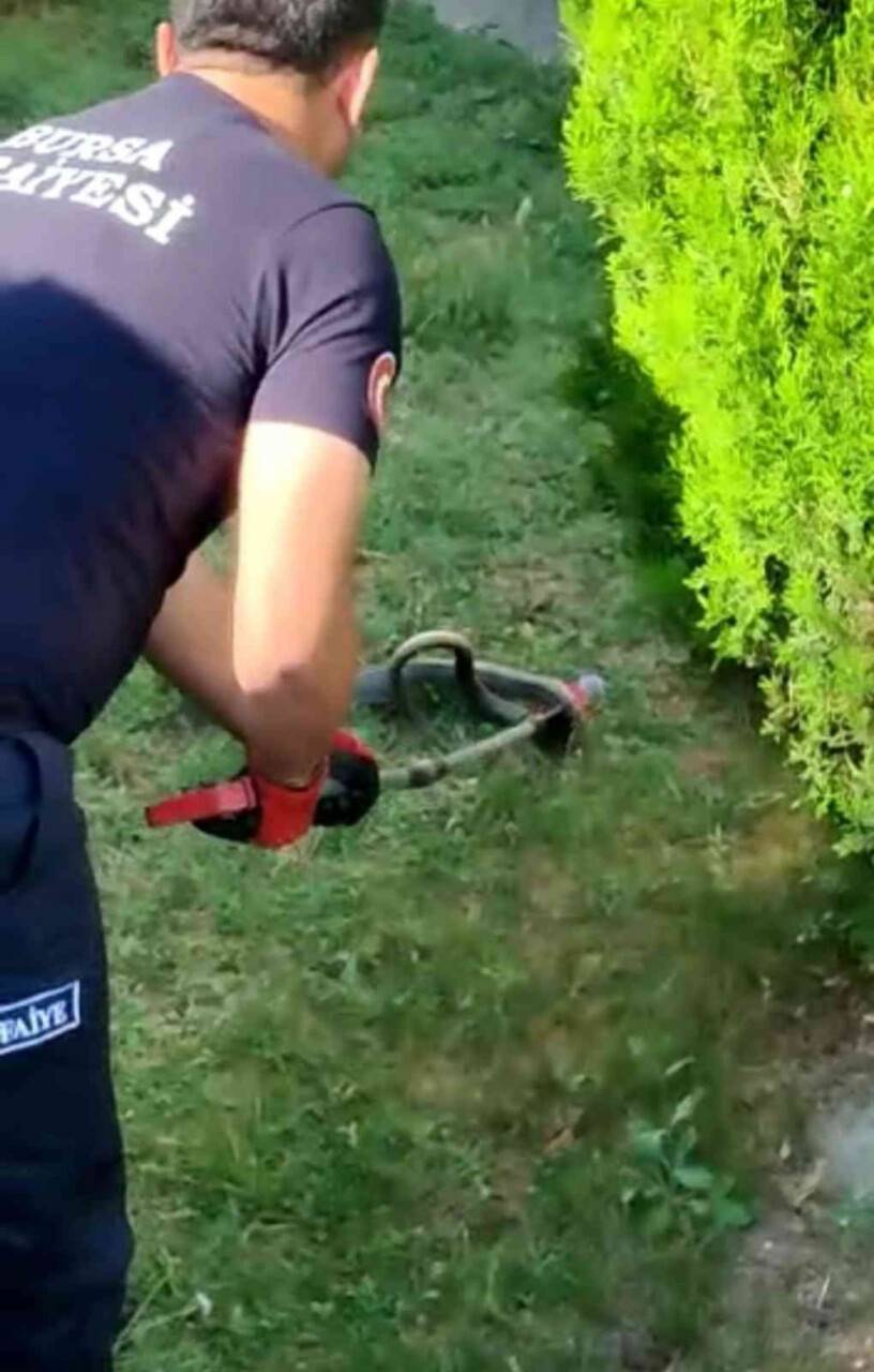 Site bahçesinde 1.5 metre boyunda yılan yakalandı