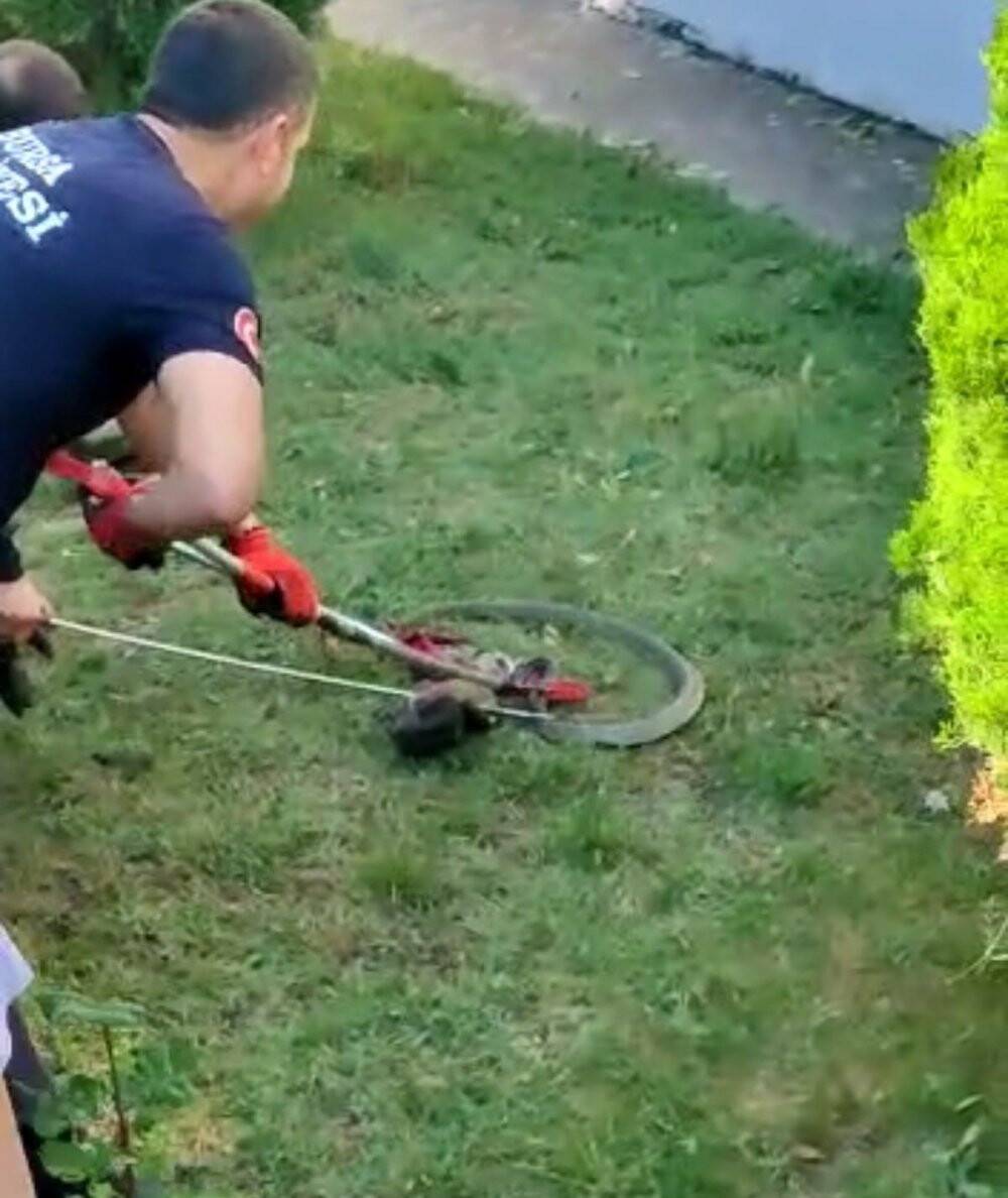 Site bahçesinde 1.5 metre boyunda yılan yakalandı