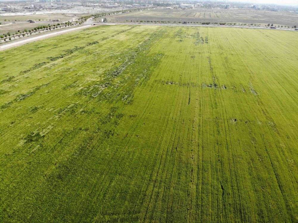 Konya’da yağışlar rekolteyi arttırıyor