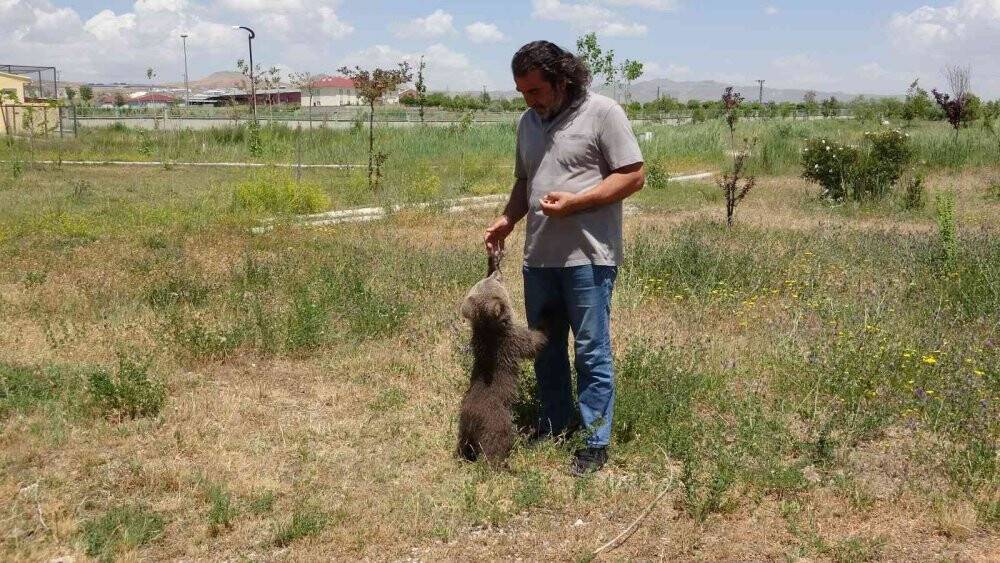 Sevimli ayı ‘Haçuvan’ ile ayrılık zamanı