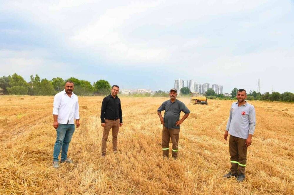 Tarsus Belediyesi, hayvan üreticilerine 22 ton saman balyası dağıtacak