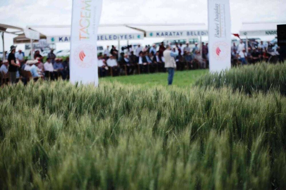 Konya’da Tarla Günü’nde yeni hububat çeşitleri üreticilere tanıtıldı