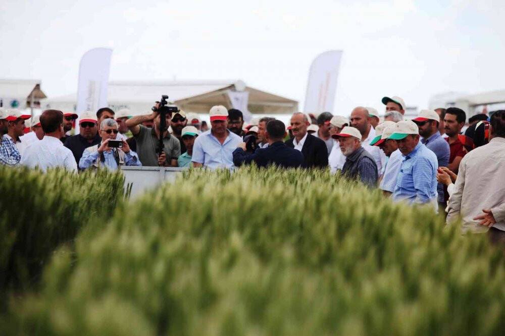 Konya’da Tarla Günü’nde yeni hububat çeşitleri üreticilere tanıtıldı