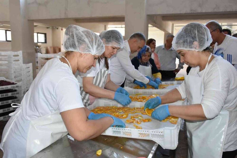 Salihli’de kurutma tesisi üretime başladı