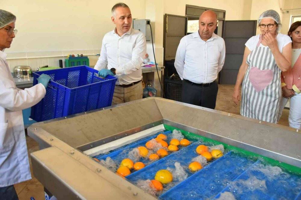 Salihli’de kurutma tesisi üretime başladı