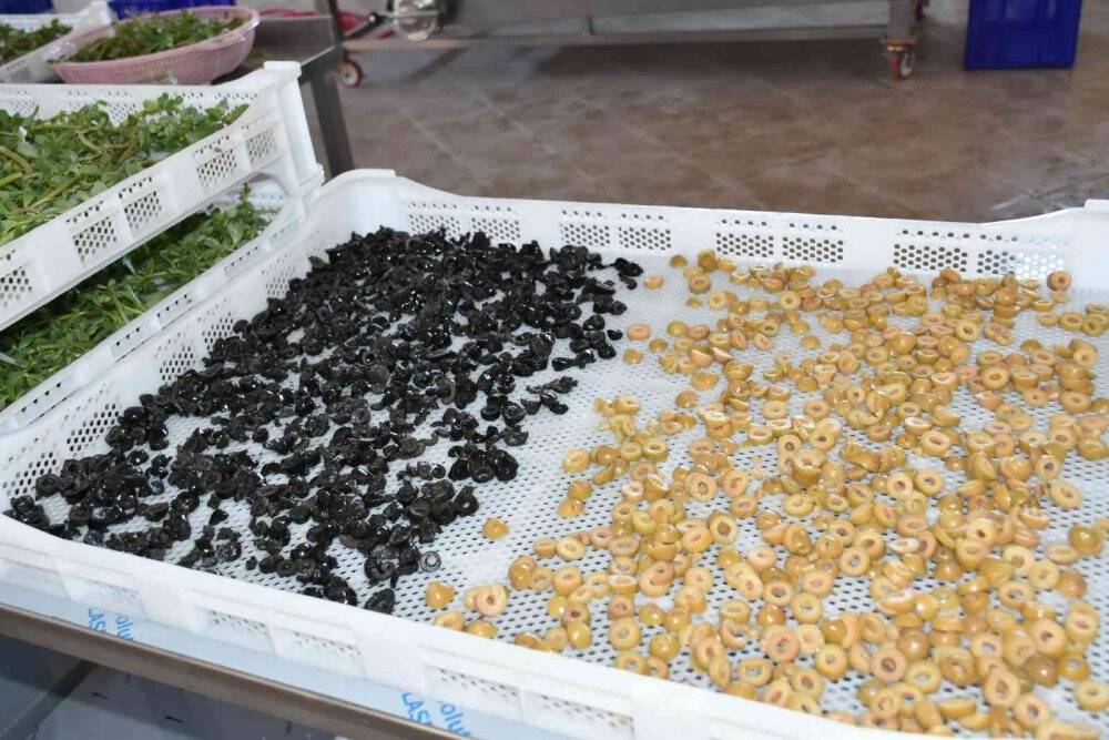 Salihli’de kurutma tesisi üretime başladı