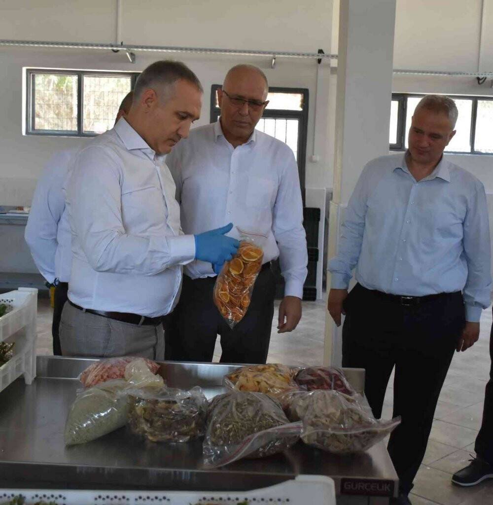 Salihli’de kurutma tesisi üretime başladı