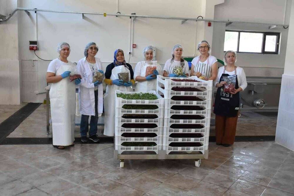 Salihli’de kurutma tesisi üretime başladı