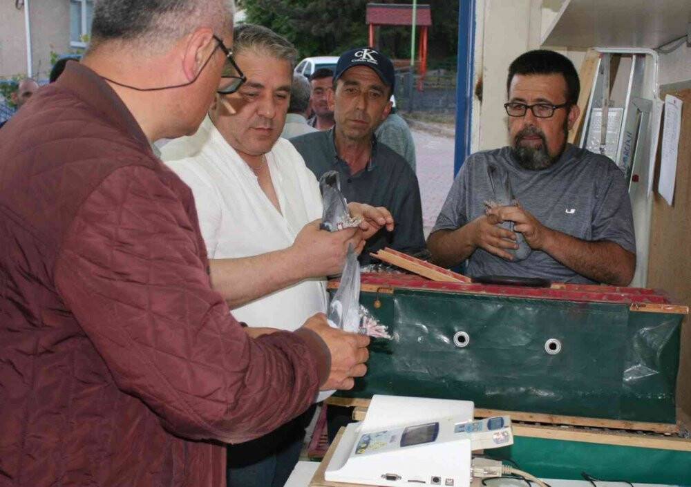 964 adet posta güvercini birincilik için yarıştı