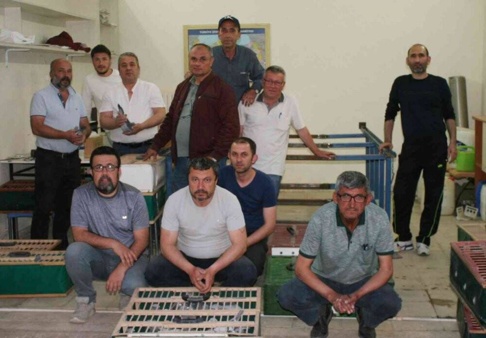 964 adet posta güvercini birincilik için yarıştı