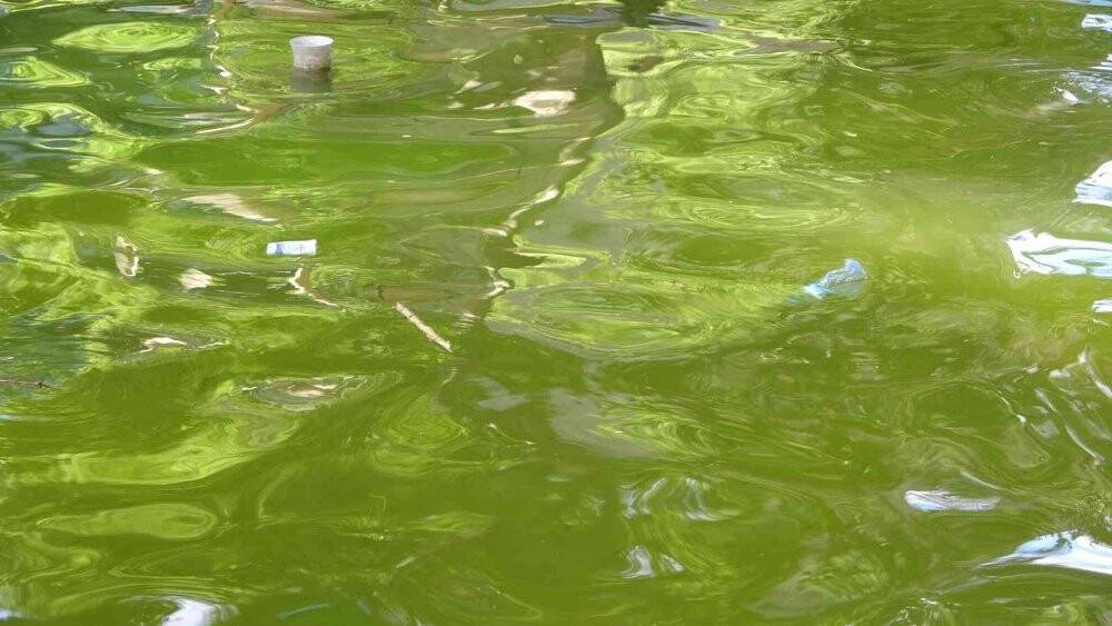 Adıyaman’da çocukların tehlikeli serinlemesi