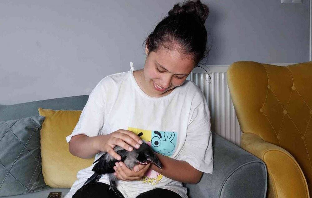 Arazide bulduğu yavru kargaya sahip çıktı, evinde bekliyor