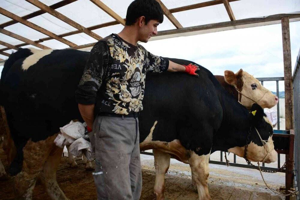 Kurbanlık hayvanlar pazardaki yerlerini aldı