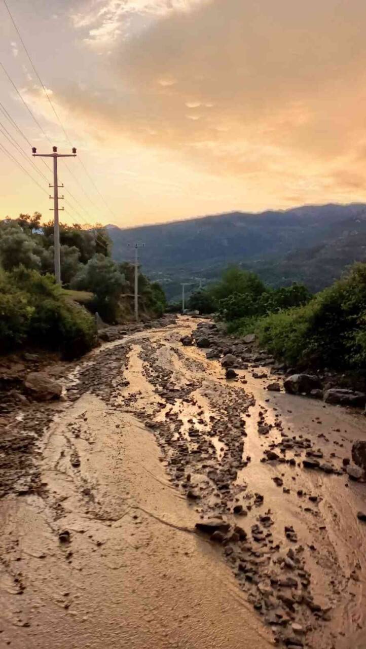 Selden geriye kalanlar fotoğraf karelerine yansıdı
