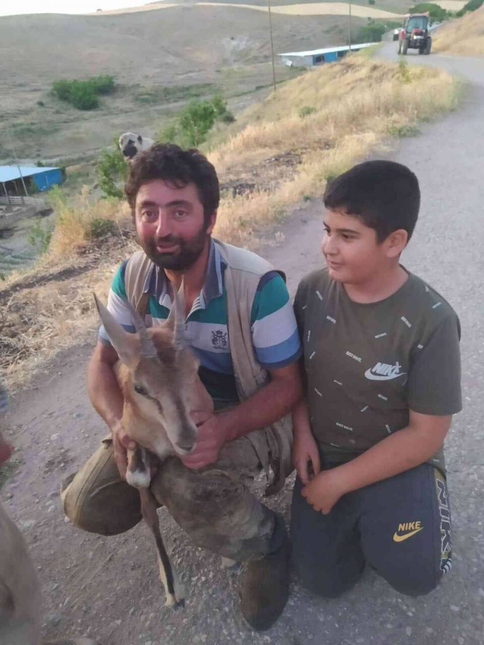 Köpeklerin saldırdığı yavru dağ keçisini vatandaşlar kurtardı