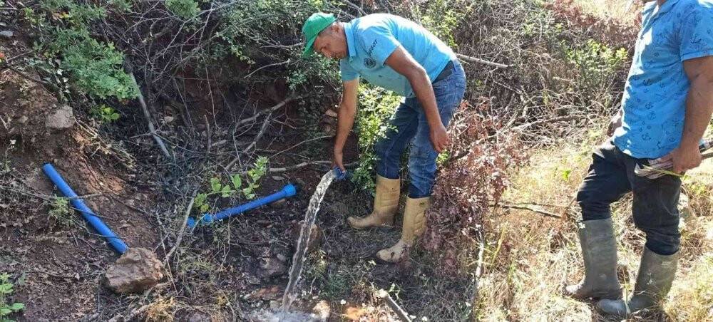 Su hattından çıkan 2 metrelik kunduz kök şaşırttı