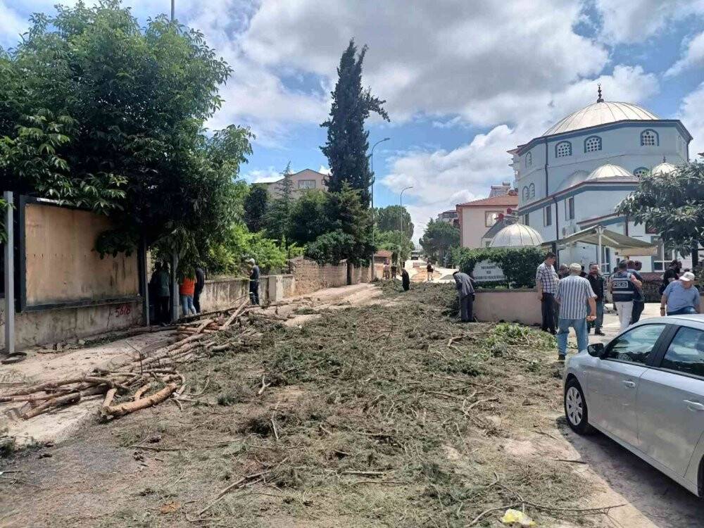 40 yıllık çam ağaçlarının kesilmesine mahalleliler tepkili