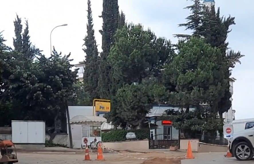 40 yıllık çam ağaçlarının kesilmesine mahalleliler tepkili