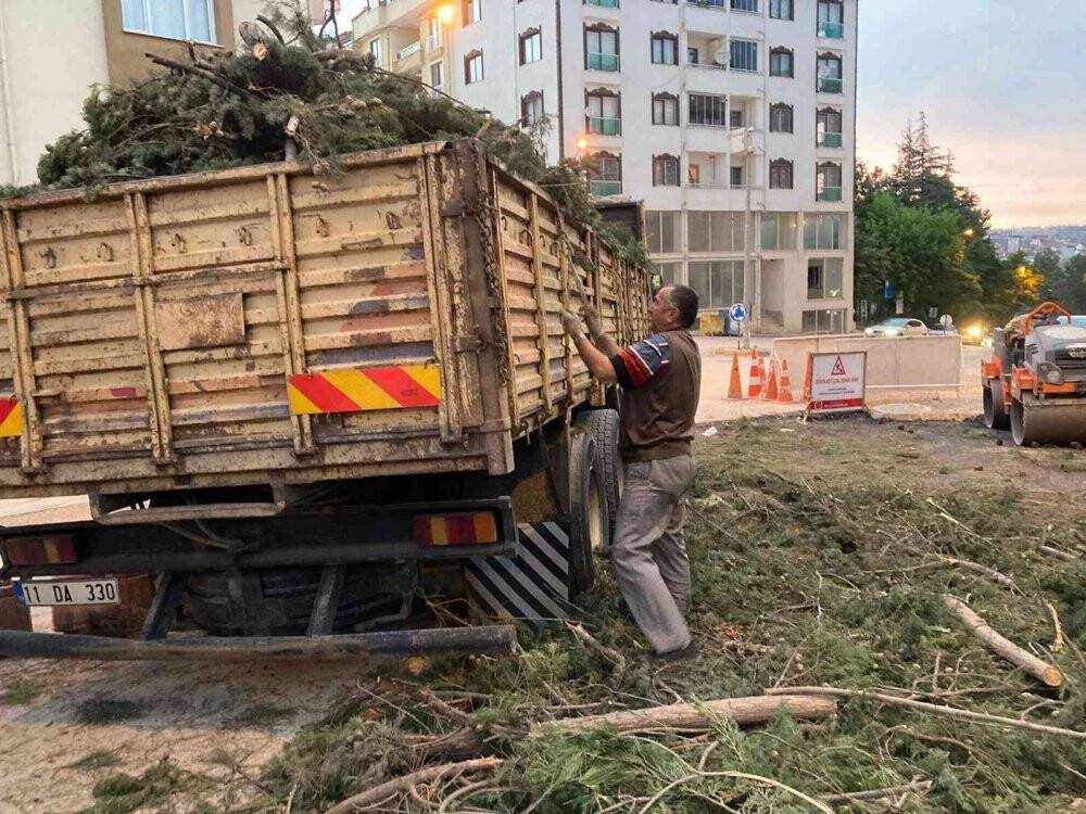 40 yıllık çam ağaçlarının kesilmesine mahalleliler tepkili