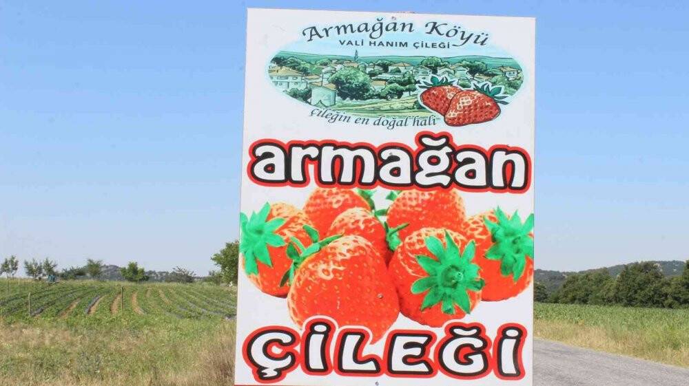 "Kendin topla, kendin tart, ücretini kovaya bırak"