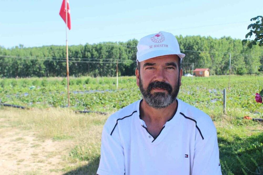 "Kendin topla, kendin tart, ücretini kovaya bırak"