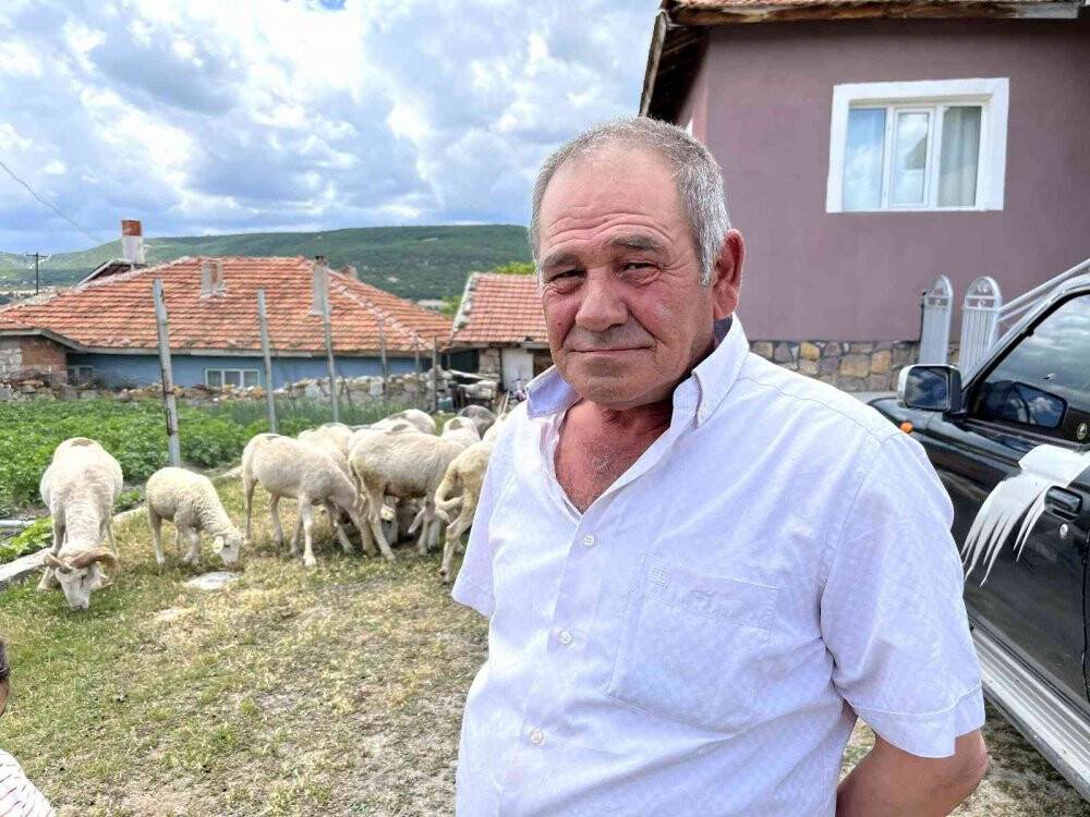 Vefakar koç dağı taşı aşıp eski sahibine geldi