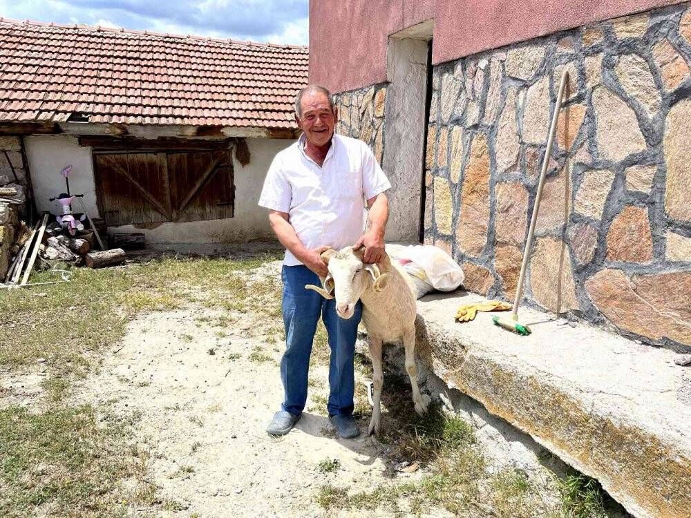 Vefakar koç dağı taşı aşıp eski sahibine geldi