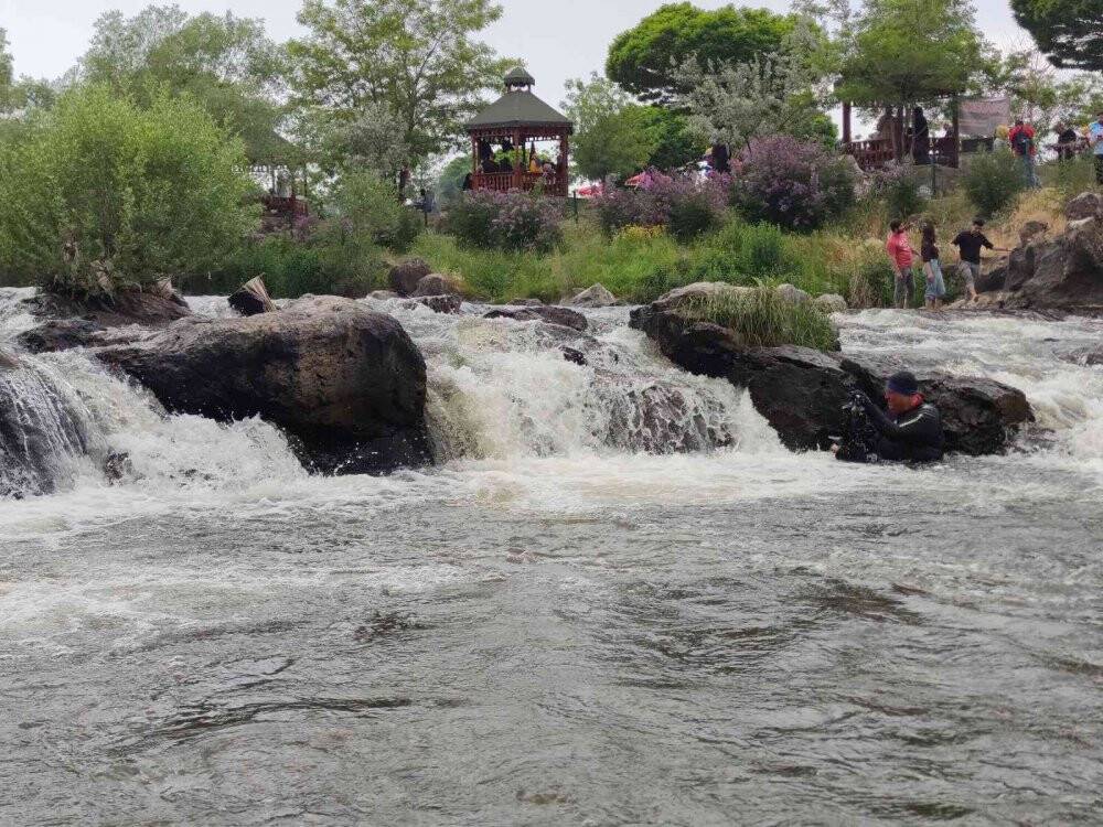 İnci kefalinin dönüş yolculuğu su altında görüntülendi