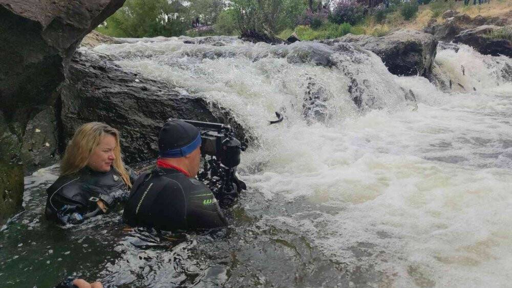 İnci kefalinin dönüş yolculuğu su altında görüntülendi