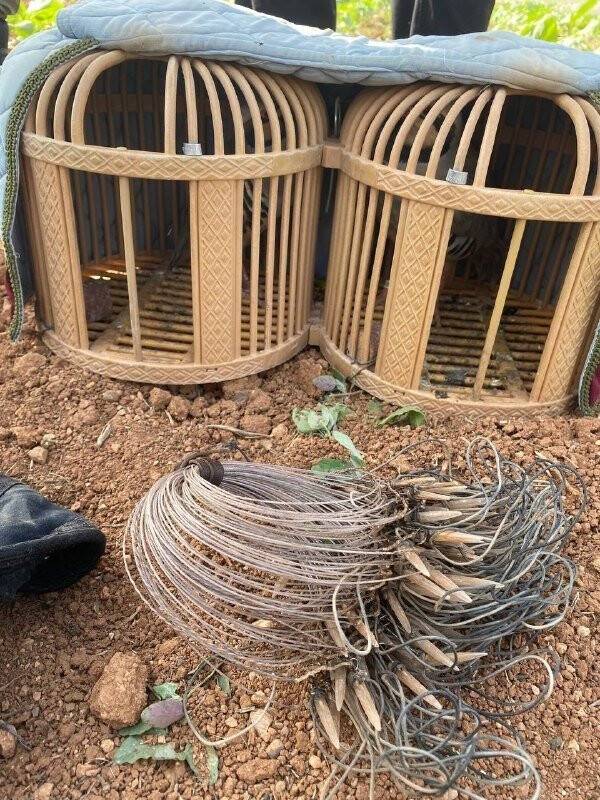 Kaçak keklik avına 10 bin lira ceza