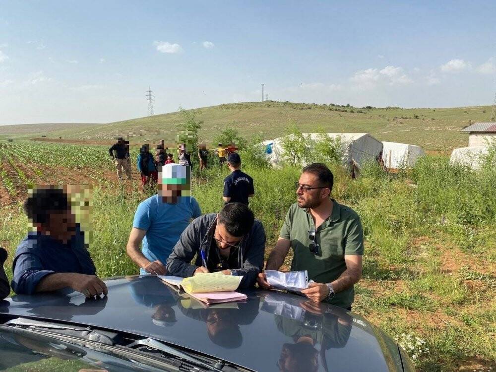 Kaçak keklik avına 10 bin lira ceza